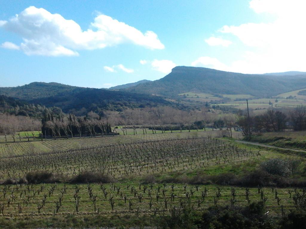 L'Ours Des Corbieres Daire Servies-en-Val Dış mekan fotoğraf